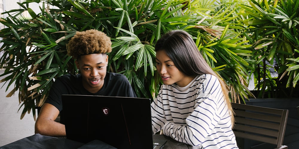 A man and woman sitting in front of a MCI gaming laptop with green plants behind them.